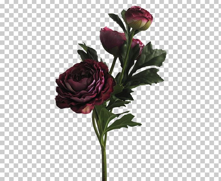 Garden Roses Cabbage Rose Floral Design Cut Flowers PNG, Clipart, Aesthetics, Artificial Flower, Cabbage Rose, Cut Flowers, Floral Design Free PNG Download