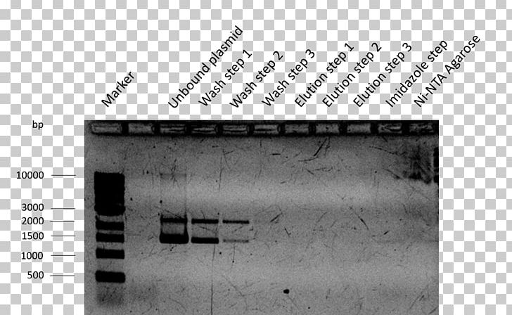 Isopropyl β-D-1-thiogalactopyranoside Plasmid Keyword Tool International Genetically Engineered Machine Transformation PNG, Clipart, Angle, Biobrick, Black And White, Brand, Cebitec Free PNG Download