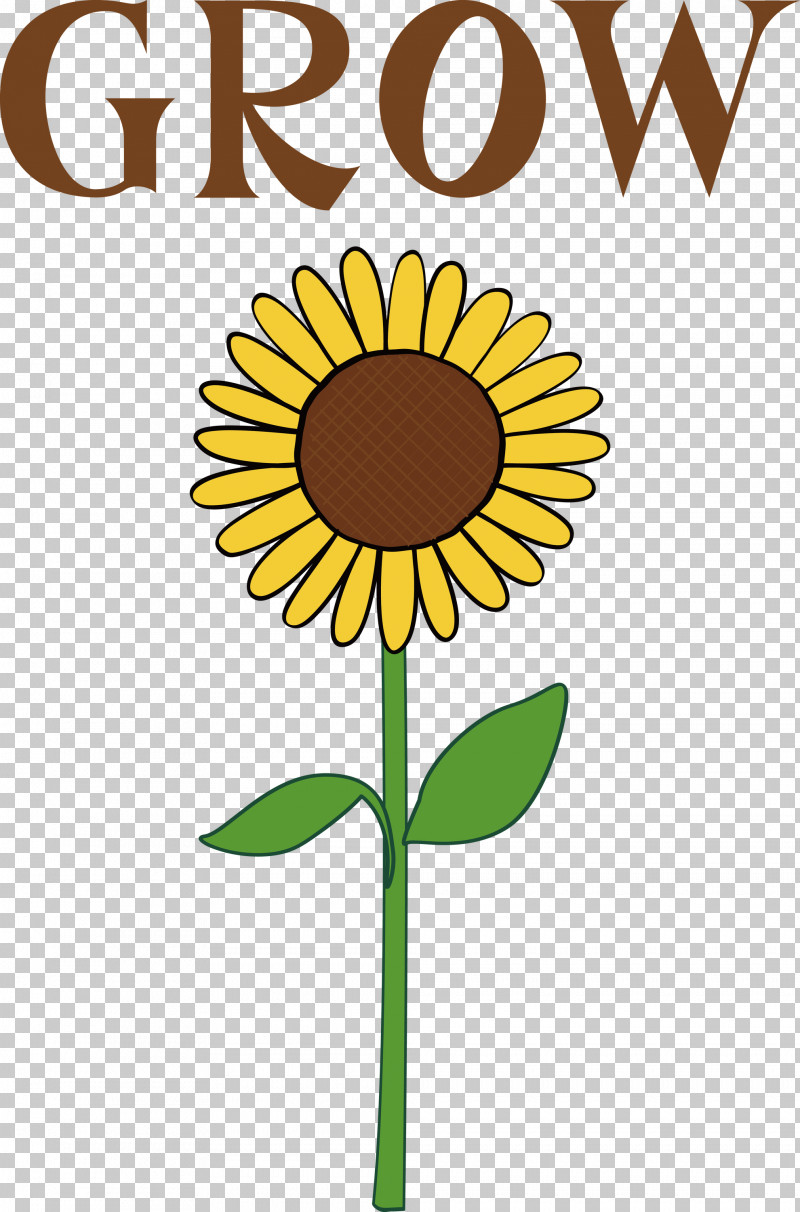 GROW Flower PNG, Clipart, Cartoon, Drawing, Flower, Grow, Painting Free PNG Download