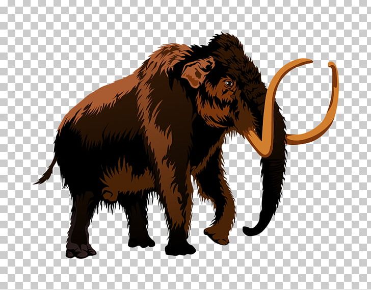 African Elephant Indian Elephant Woolly Mammoth PNG, Clipart, African Elephant, Animal Figure, Bluza, Cattle Like Mammal, Clip Free PNG Download