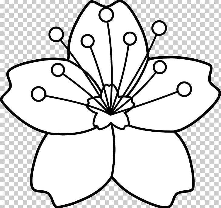 Cherry Blossom Coloring Book Flower PNG, Clipart, Area, Artwork, Black And White, Blossom, Cherry Free PNG Download