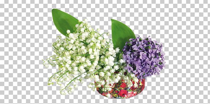 Desktop 1080p Flower PNG, Clipart, 720p, 1080p, Beyaz Cicekler, Cicekler, Cut Flowers Free PNG Download