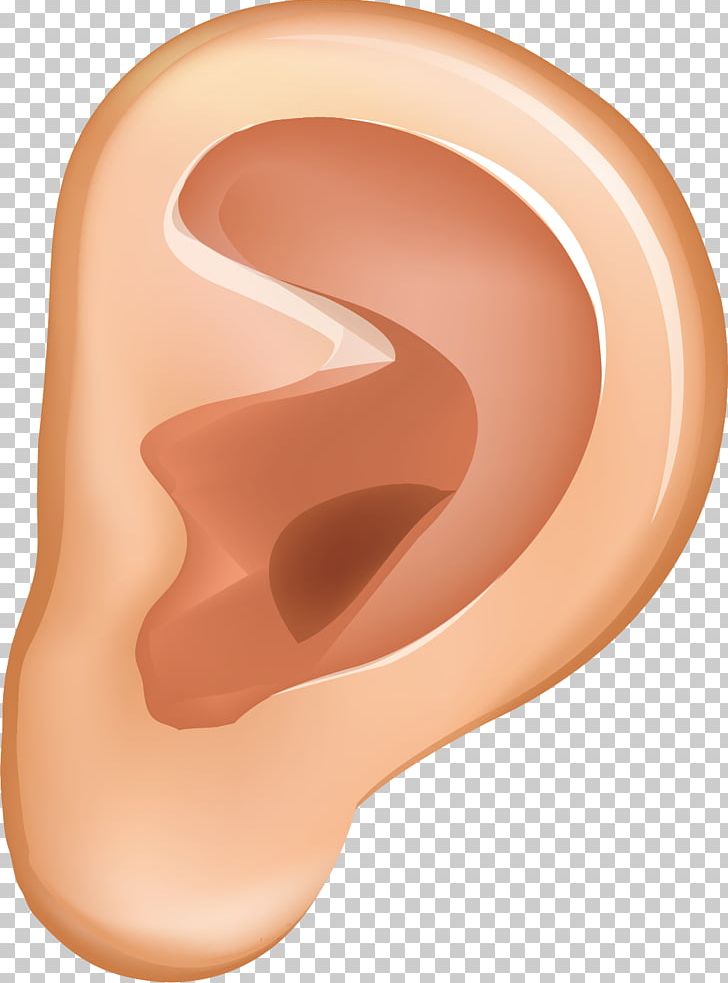 Ear Auricle Animation PNG, Clipart, Cartoon, Cartoon Ear, Cheek, Chin, Dessin Animxe9 Free PNG Download
