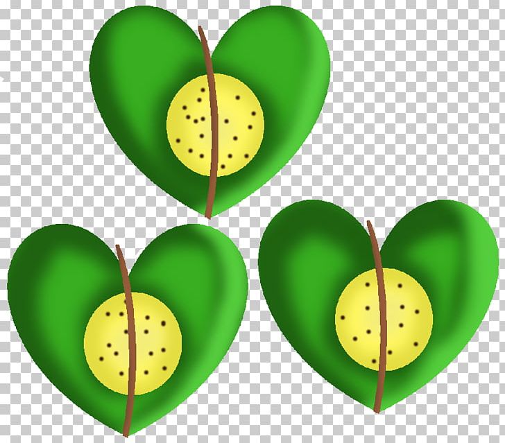 Leaf Organism Fruit Heart PNG, Clipart, Fruit, Grass, Green, Heart, Leaf Free PNG Download