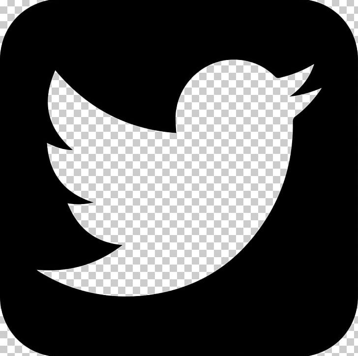 Social Media Computer Icons PNG, Clipart, Beak, Bird, Black, Black And White, Cdr Free PNG Download
