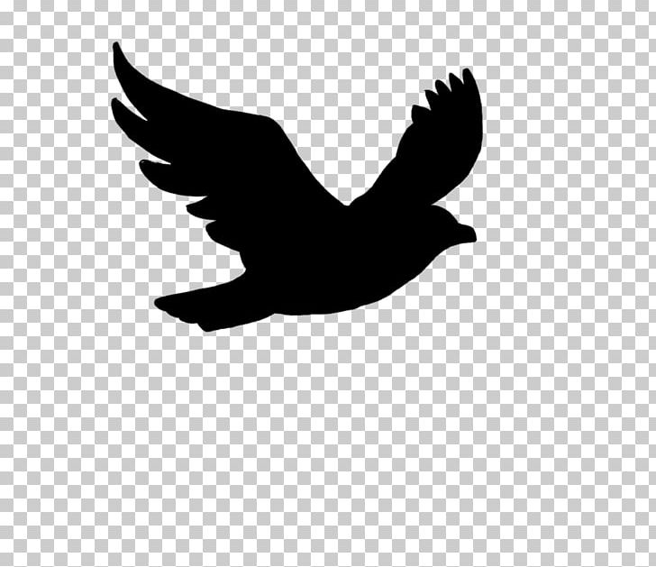 Bird Flight Drawing PNG, Clipart, Animal, Animals, Animal Silhouettes, Art, Beak Free PNG Download