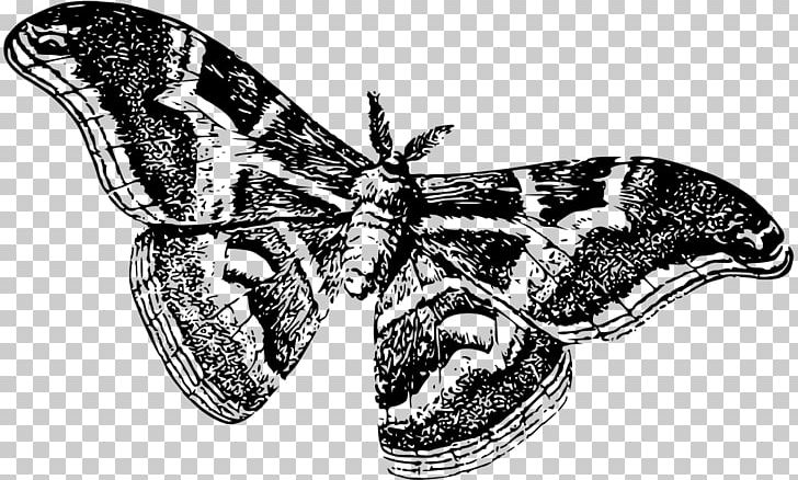 Butterfly Insect Moth Silkworm PNG, Clipart, Arthropod, Black And White, Bombycidae, Brush Footed Butterfly, Butterflies And Moths Free PNG Download