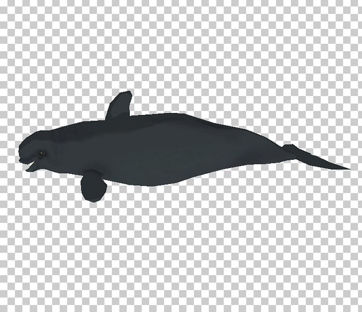 Dolphin Porpoise PNG, Clipart, Animals, Dolphin, Longfinned Pilot Whale, Mammal, Marine Mammal Free PNG Download