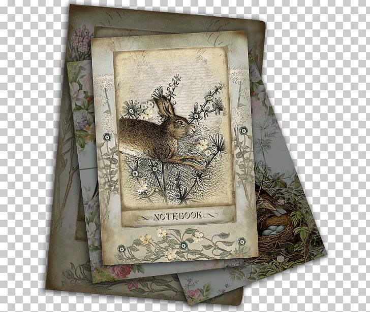 Hare Frames PNG, Clipart, Fauna, Hare, Miss Havisham, Others, Picture Frame Free PNG Download