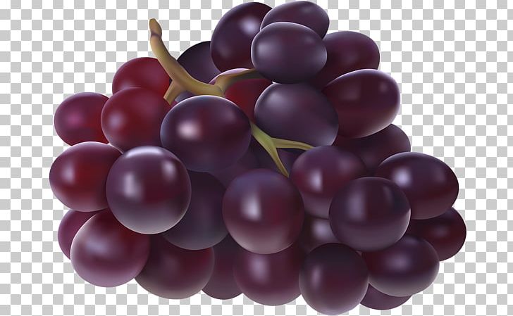 Juice Sultana Riesling White Wine Zante Currant PNG, Clipart, Available, Berry, Blackcurrant, Common Grape Vine, Cranberry Free PNG Download