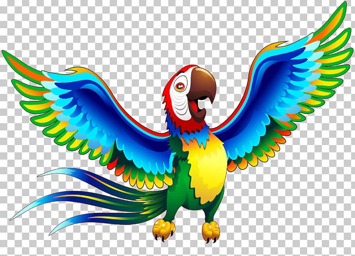 Animals Photography Parakeet PNG, Clipart, Animal Figure, Animals, Beak, Bird, Cartoon Free PNG Download