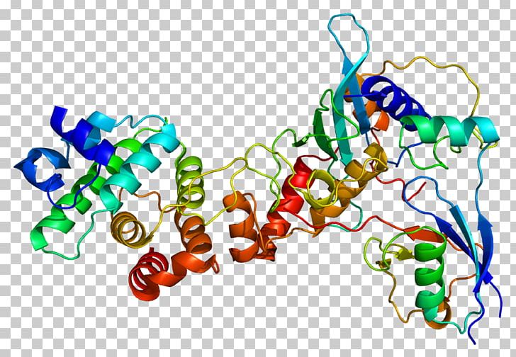 RANGAP1 Gene GTPase-activating Protein PNG, Clipart, Adhesion, Art, Cadherin, Enzyme, Focal Adhesion Free PNG Download