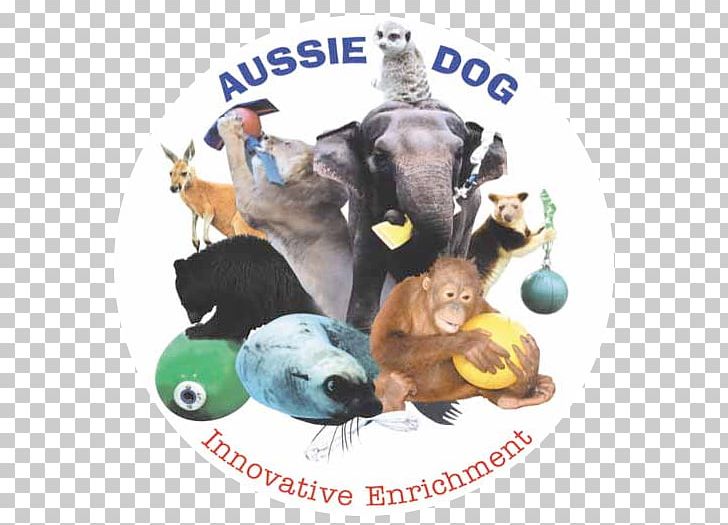 Behavioral Enrichment Animal Australian Shepherd Zookeeper PNG, Clipart, Animal, Arthur Rimbaud, Australian Shepherd, Behavioral Enrichment, Dog Free PNG Download