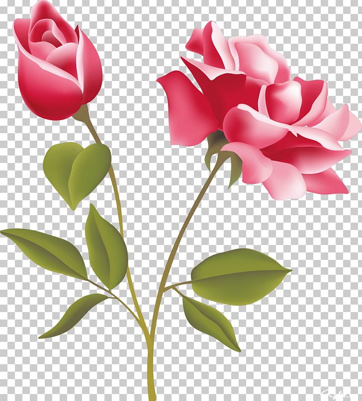 Rose Pink Free PNG, Clipart, Artificial Flower, Blog, Bud, Cut Flowers, Decoupage Free PNG Download