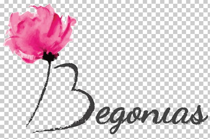 Garden Roses Cut Flowers Floral Design Fascinator PNG, Clipart, Begonia, Boater, Bride, Brooch, Carnation Free PNG Download