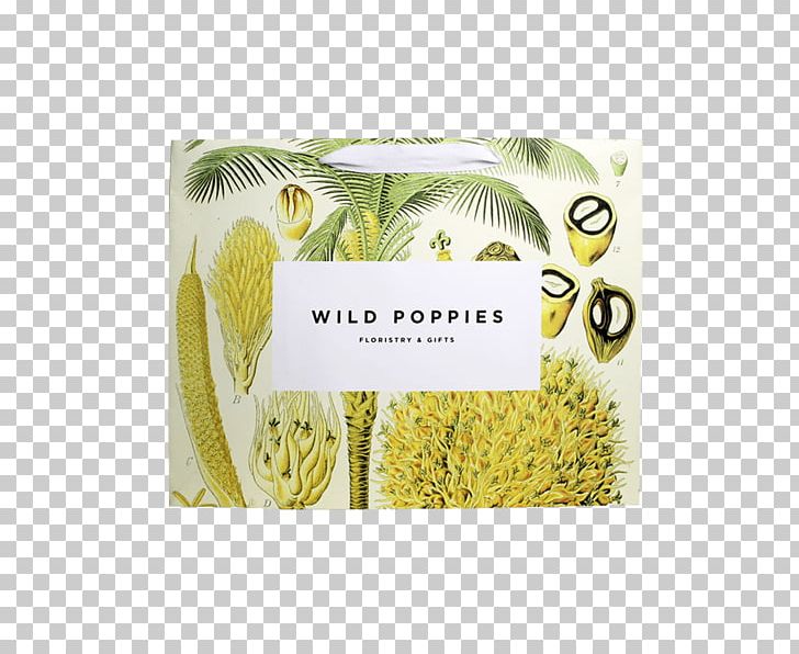 African Oil Palm Natural History Museum Organism Product PNG, Clipart, African Oil Palm, Carrying A Gift, Museum, Natural History, Natural History Museum Free PNG Download