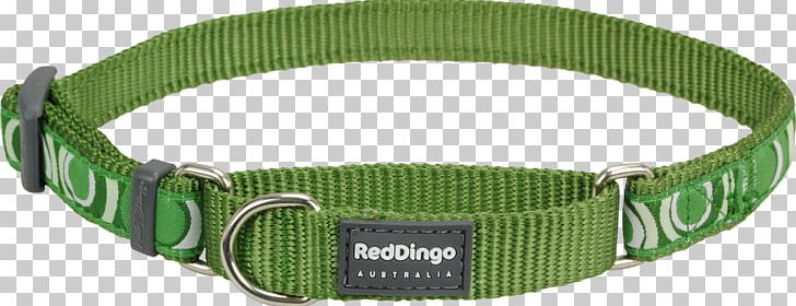 Dingo Dog Collar Martingale Leash PNG, Clipart, Belt, Cat, Choker, Chow Chow, Collar Free PNG Download