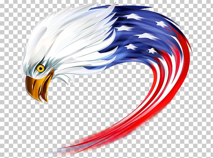 United States Desktop PNG, Clipart, American Eagle Outfitters, American Flag, Beak, Bird, Clip Art Free PNG Download
