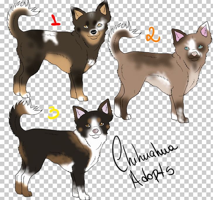 Chihuahua Border Collie Norwegian Lundehund Cat Puppy PNG, Clipart, Animal, Animals, Border Collie, Canidae, Carnivora Free PNG Download