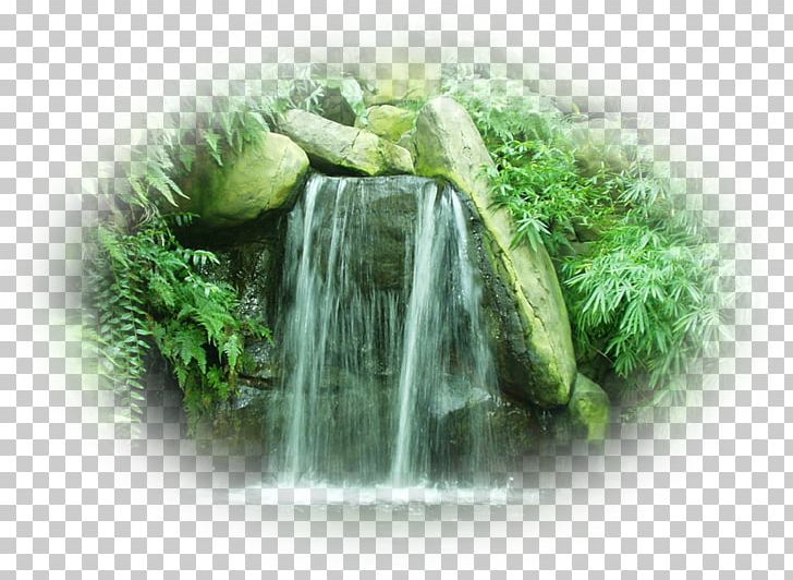Tat Sae Waterfalls Photography Desktop PNG, Clipart, Desktop Wallpaper, Face, Facial, Garden, Grass Free PNG Download