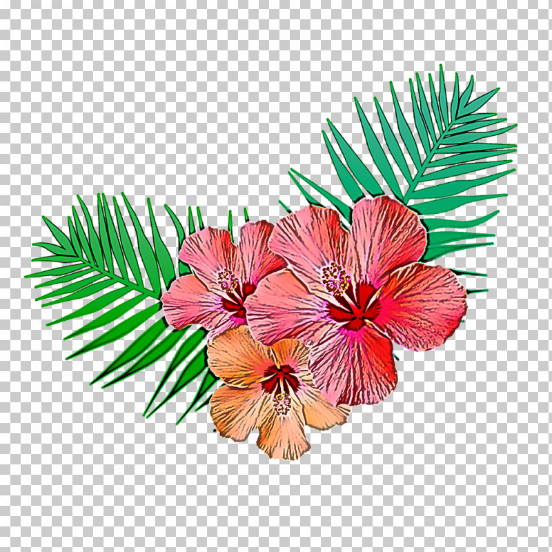 Hibiscus Flower Plant Leaf Petal PNG, Clipart, Branch, Flower, Hibiscus, Leaf, Mallow Family Free PNG Download