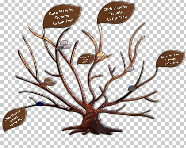 Branch Adoption Family Tree Genealogy PNG, Clipart, Adoption, Branch, Child, Family, Family Tree Free PNG Download