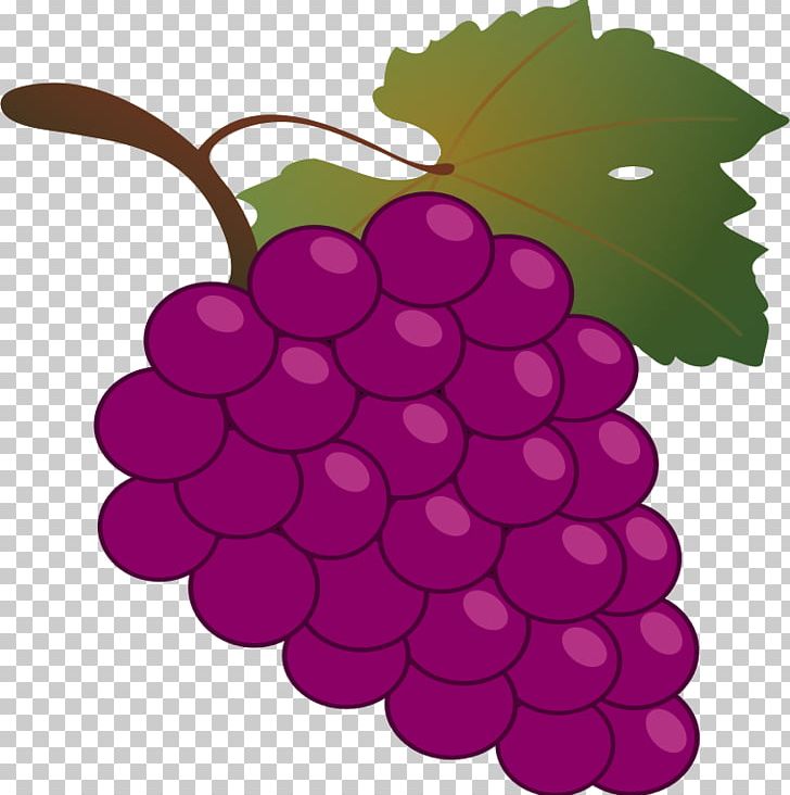 Common Grape Vine Wine Free Content PNG, Clipart, Cartoon, Common Grape Vine, Flowering Plant, Food, Free Content Free PNG Download