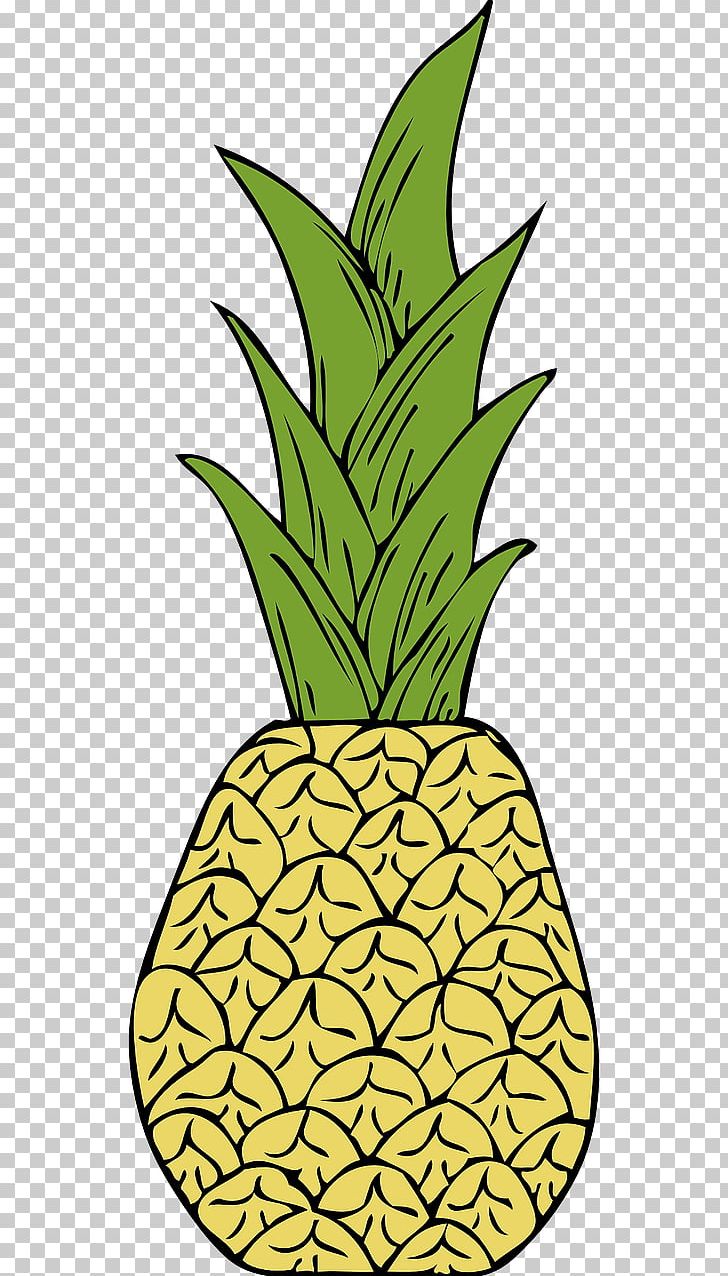 Fruit Salad Pineapple PNG, Clipart, Ananas, Bromeliaceae, Drawing, Flow, Food Free PNG Download