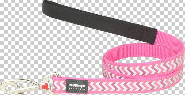 Leash Chihuahua Dingo Dog Collar PNG, Clipart, Chihuahua, Collar, Dingo, Dog, Dog Collar Free PNG Download