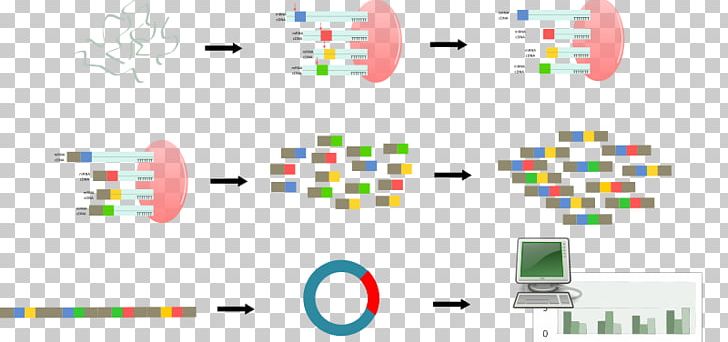 Serial Analysis Of Gene Expression DNA Microarray Computer Icons PNG, Clipart, Area, Brand, Byte, Computer Icons, Diagram Free PNG Download