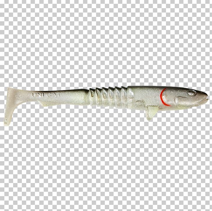 Northern Pike Predatory Fish Wels Catfish Fishing Bait PNG, Clipart, Animals, Brown Trout, Color, Fish, Fish Fin Free PNG Download