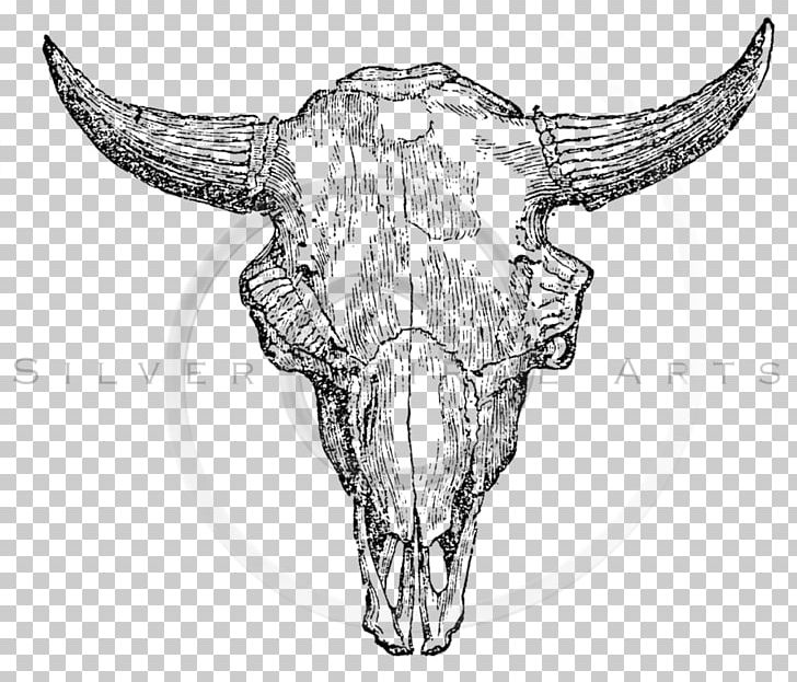 American Bison Illustration European Bison Drawing Zazzle PNG, Clipart, American Bison, Bison, Black And White, Bone, Cattle Like Mammal Free PNG Download