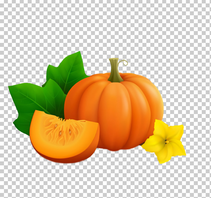 Thanksgiving Autumn Harvest PNG, Clipart, Autumn, Fruit, Gourd, Harvest, Melon Free PNG Download