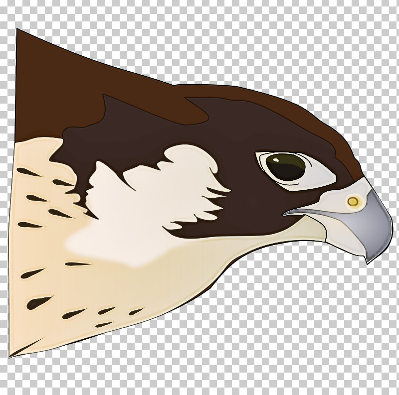 Bird Peregrine Falcon Eagle Hawk Bird Of Prey PNG, Clipart, Bald Eagle, Beak, Bird, Bird Of Prey, Eagle Free PNG Download