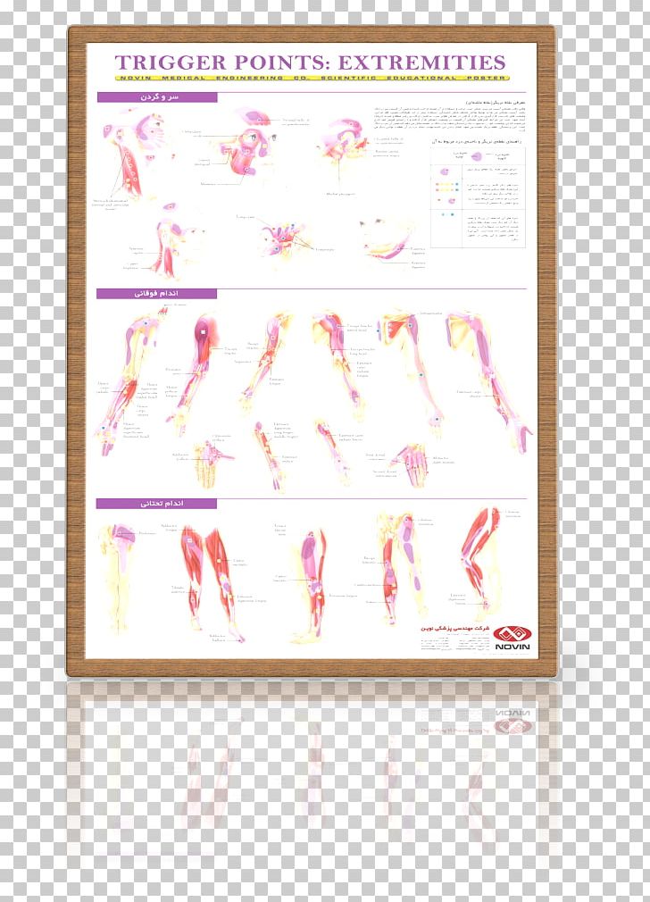Paper Pink M Frames Font PNG, Clipart, Art, Brand, Line, Paper, Picture Frame Free PNG Download