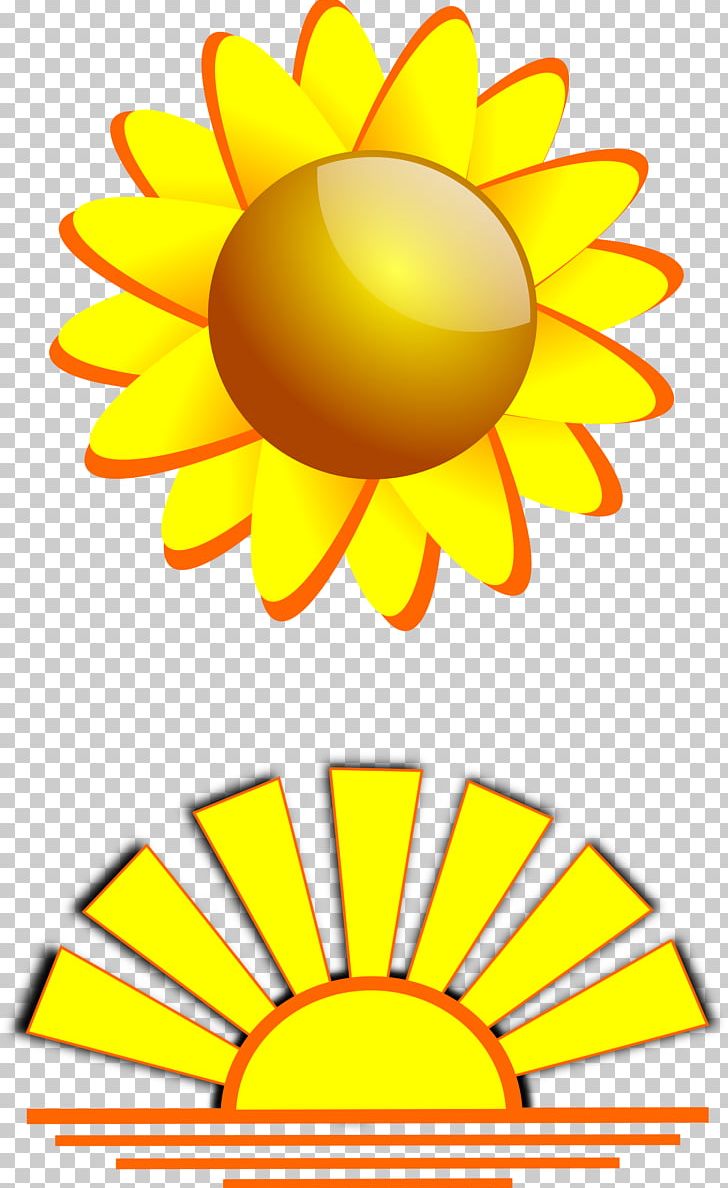 Sunset Computer Icons PNG, Clipart, Art, Artwork, Computer Icons, Cut Flowers, Flower Free PNG Download