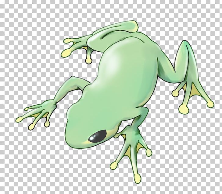 Tree Frog True Frog Toad Reptile PNG, Clipart, Amphibian, Animal, Animal Figure, Animals, Art Free PNG Download