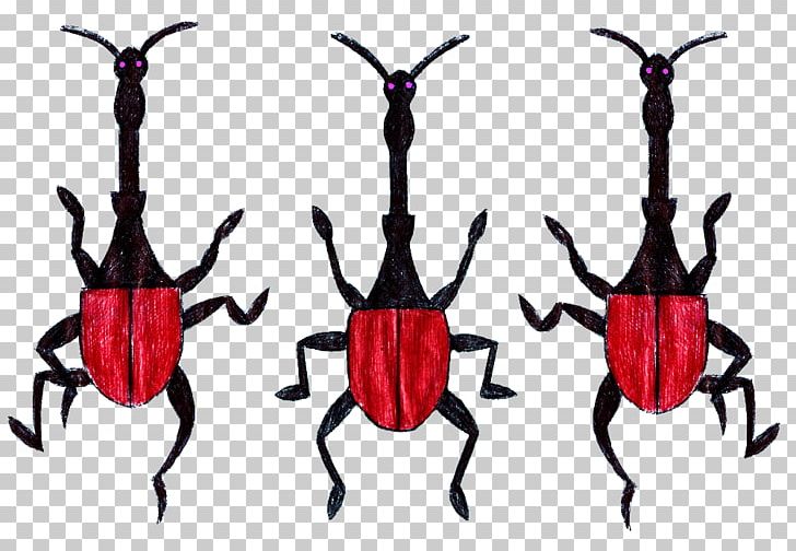 Wheat Weevil Insect Hylobius Abietis Giraffe Weevil PNG, Clipart, Arthropod, Ayeaye, Beetle, Chameleons, Flickr Free PNG Download
