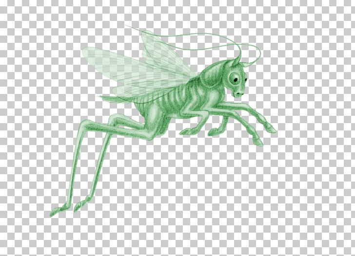 Cricket Insect Pollinator PNG, Clipart, Arthropod, Cricket, Cricket Like Insect, Fictional Character, Insect Free PNG Download