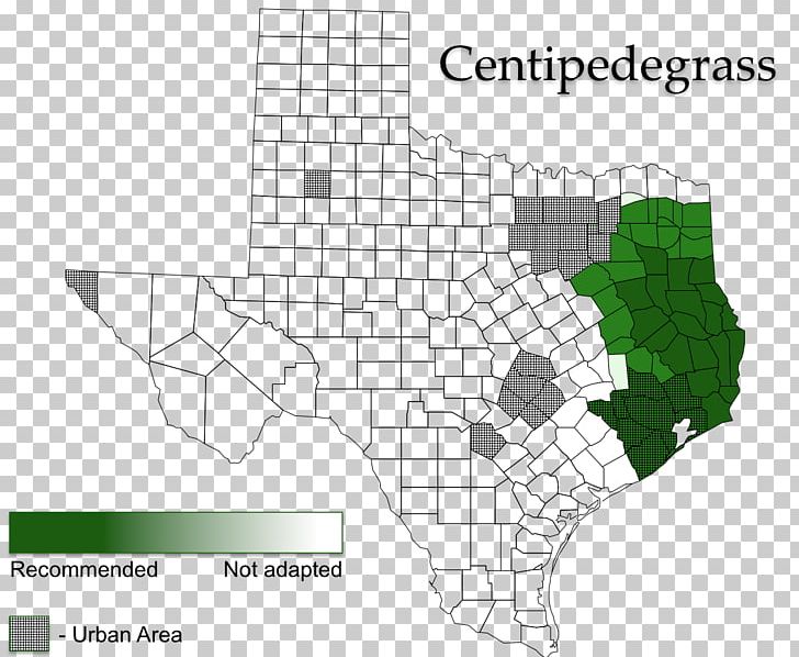 Eremochloa Ophiuroides Stolon Lawn PNG, Clipart, Angle, Area, Diagram, Fashion, Game Free PNG Download