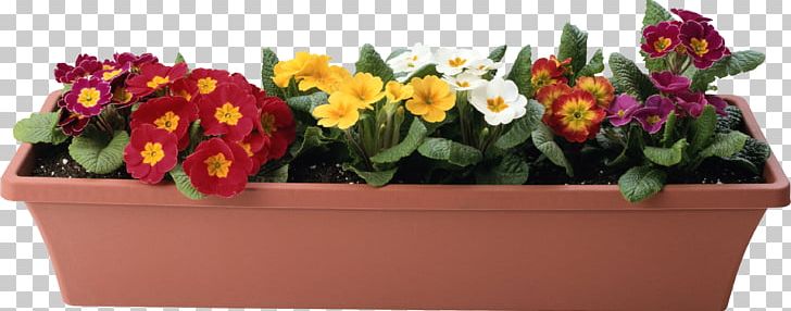 Flowerpot Plant PNG, Clipart, Cut Flowers, Designer, Floral Design, Floristry, Flower Free PNG Download