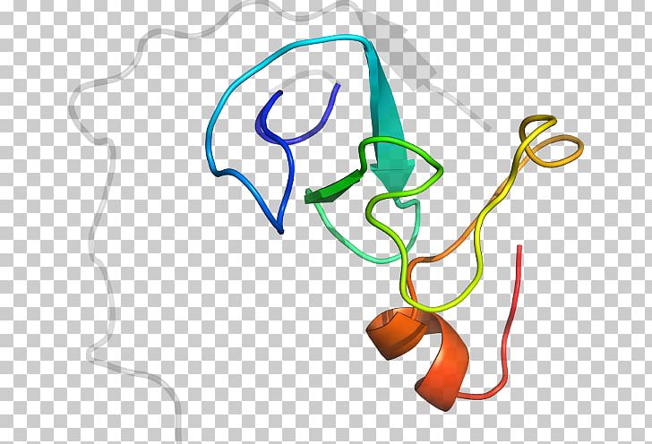 Organism Line PNG, Clipart, Area, Art, Artwork, Ferredoxin, Line Free PNG Download