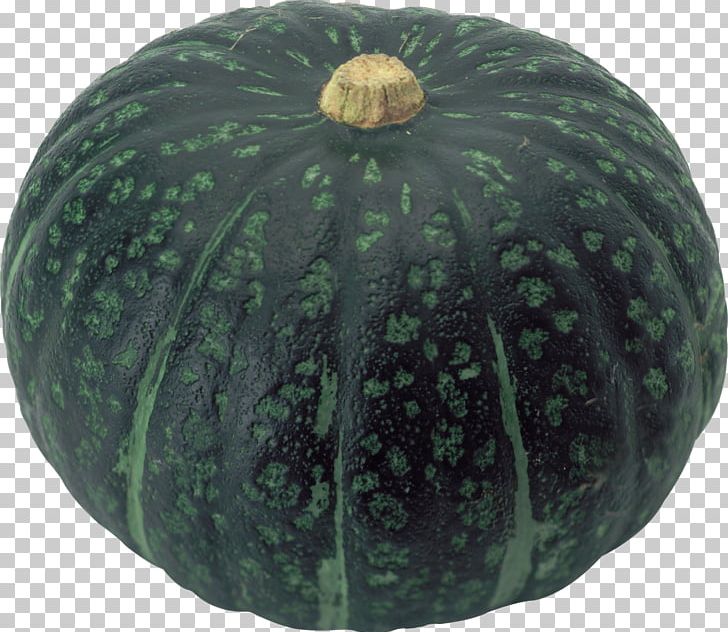 Pumpkin Fruit Squash PNG, Clipart, Calabaza, Cucumber Gourd And Melon Family, Cucurbita, Cucurbita Maxima, Free Free PNG Download