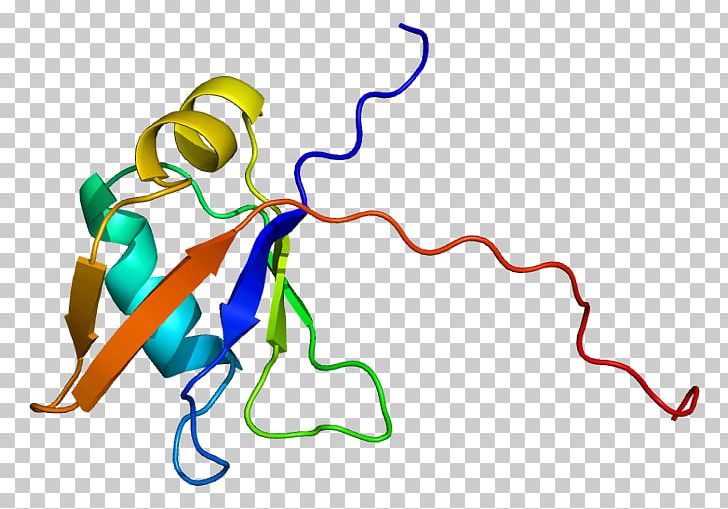 TARDBP Protein Folding RNA-binding Protein Gene PNG, Clipart,  Free PNG Download