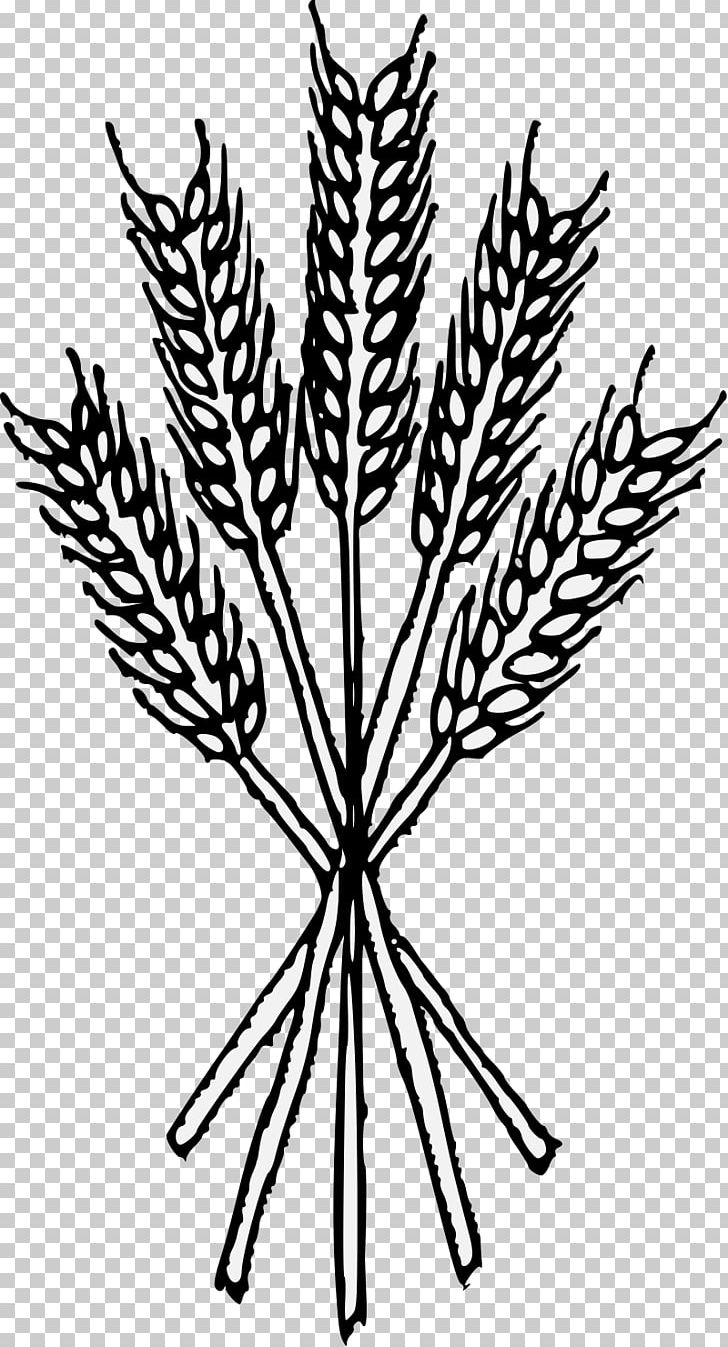 Wheat Heraldry Cereal Grain PNG, Clipart, Art, Black And White, Branch, Bread, Cereal Free PNG Download