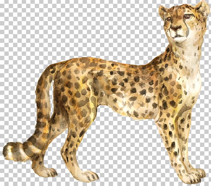 Cheetah The Bedlam Stacks Cat Felidae Cougar PNG, Clipart, Animal, Animal Figure, Animals, Bedlam Stacks, Big Cat Free PNG Download