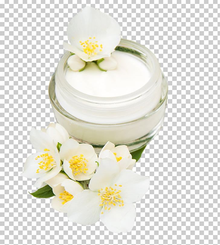 Cream PNG, Clipart, Cream, Flower, Jasmine, Others, Petal Free PNG Download