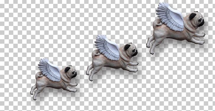 Dog Breed Pug Fawn Snout PNG, Clipart, Animal Figure, Breed, Carnivoran, Dog, Dog Breed Free PNG Download
