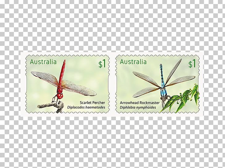 Postage Stamps Dragonfly Insect Max Stern & Co Adhesive PNG, Clipart, 2017, Adhesive, Australia, Butterfly, Country Free PNG Download