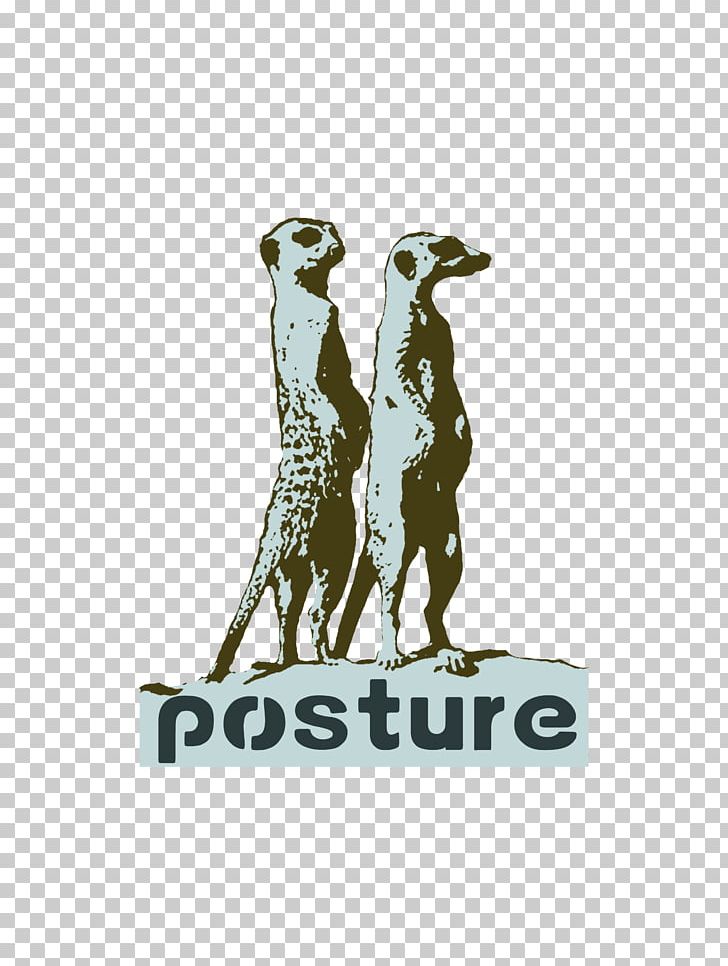 T-shirt Meerkat Giraffe Spreadshirt Cat PNG, Clipart, Brand, Cat, Chef, Clothing, Color Free PNG Download